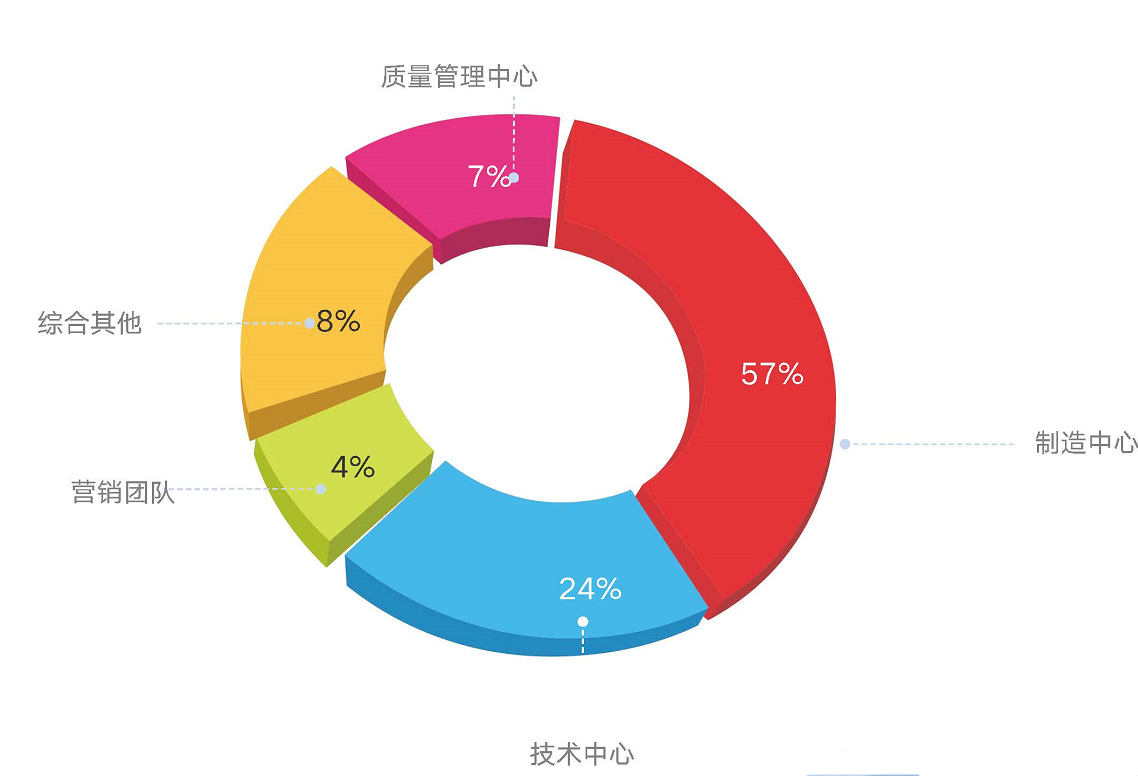 团队构成